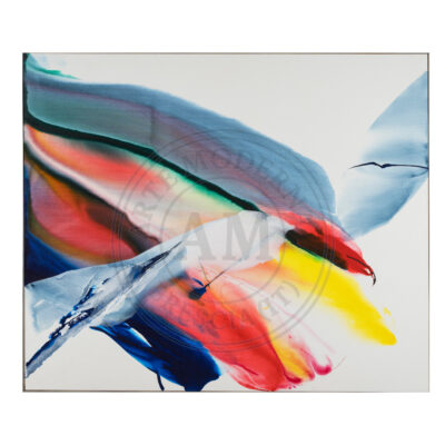 Phenomena Salem Sought by Paul Jenkins for sale AM Arte Moderna