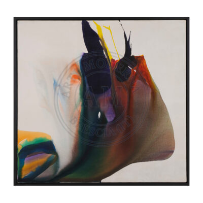 Phenomena Overhead by Paul Jenkins for sale AM Arte Moderna